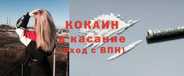 индика Балабаново