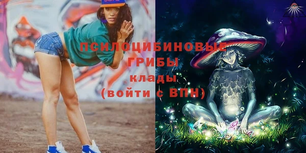 индика Балабаново