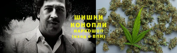 индика Балабаново